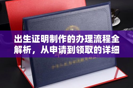 港口出生证明制作的办理流程全解析，从申请到领取的详细指南